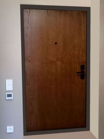 Дверь Гардиан ДС9 со шпонированной панелью
