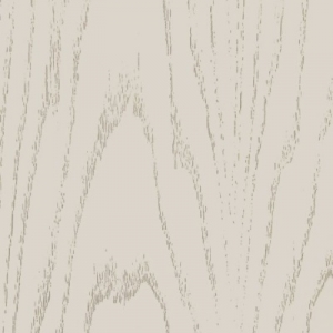 Краска 06 Капучино ДШ