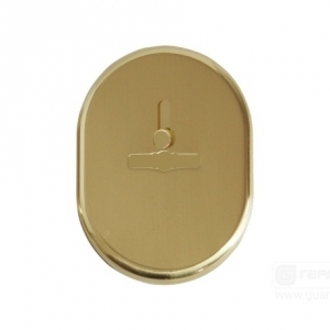 Накладка ПЛ 22Ш латунь