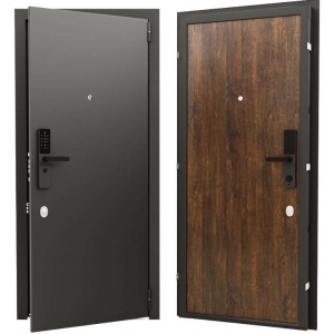 Входная дверь Гардиан ДС2 с биометрией