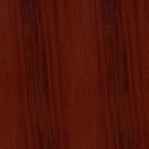 23 Вишня * СН