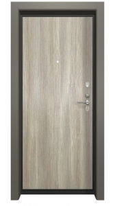 Входная дверь Гардиан ДС2 АК