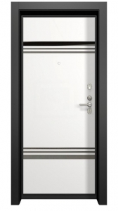 Входная дверь Гардиан ДС2 Нео Л 10