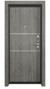 Входная дверь Гардиан ДС2 Стайл Л 02 с молдингом