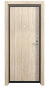 Входная дверь Гардиан ДС2 Стайл Л 06 с молдингом