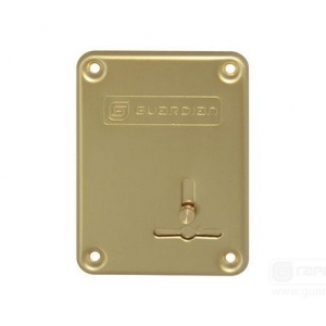 Накладка ГЛС латунь