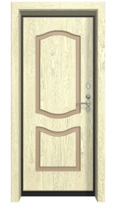 Входная дверь Гардиан ДС2 16 ФШ 06