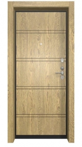 Входная дверь Гардиан ДС2 Лайн Ш 02